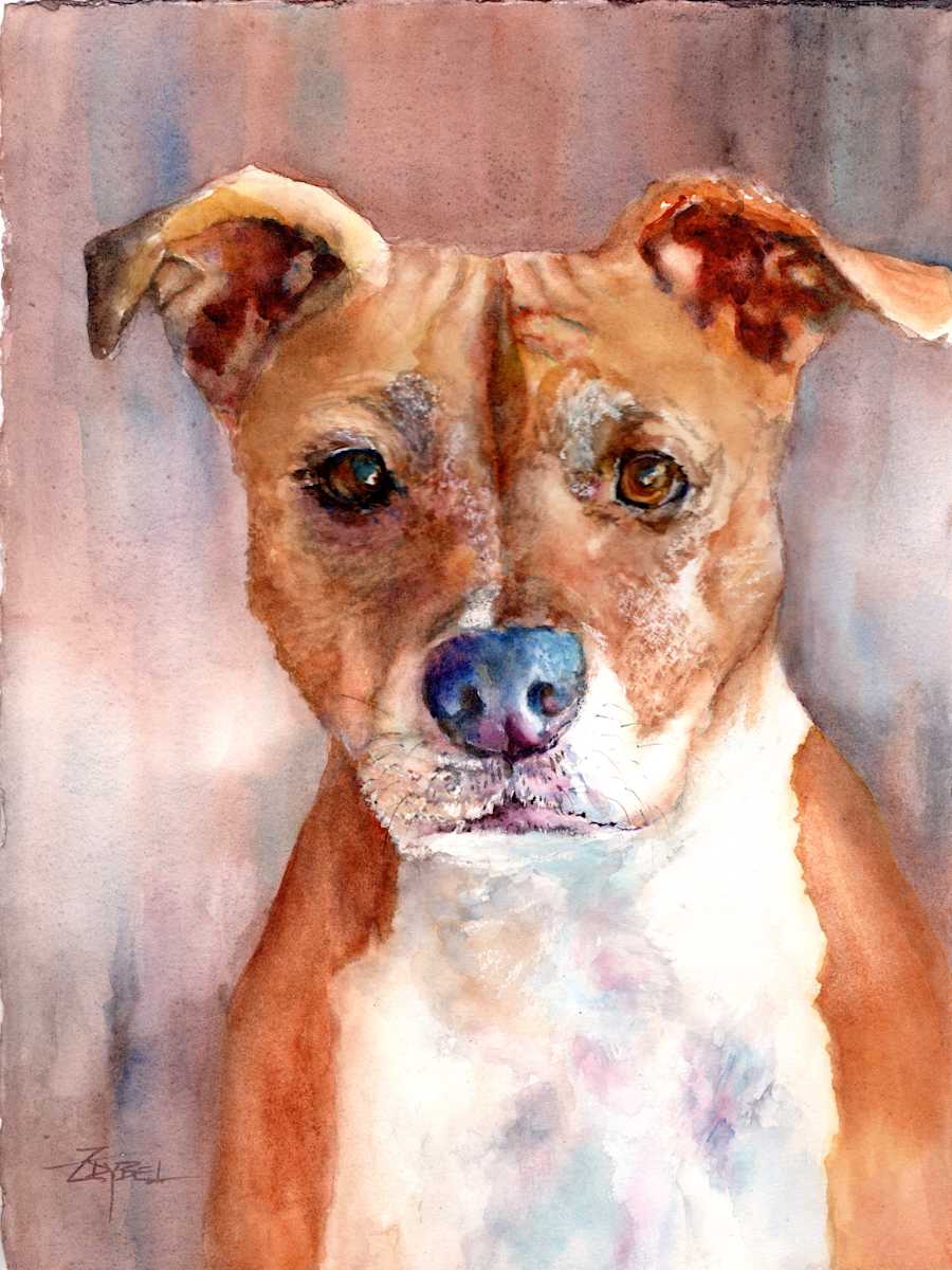 Commission Pet Portrait- Roxy by Rebecca Zdybel, Image 2.