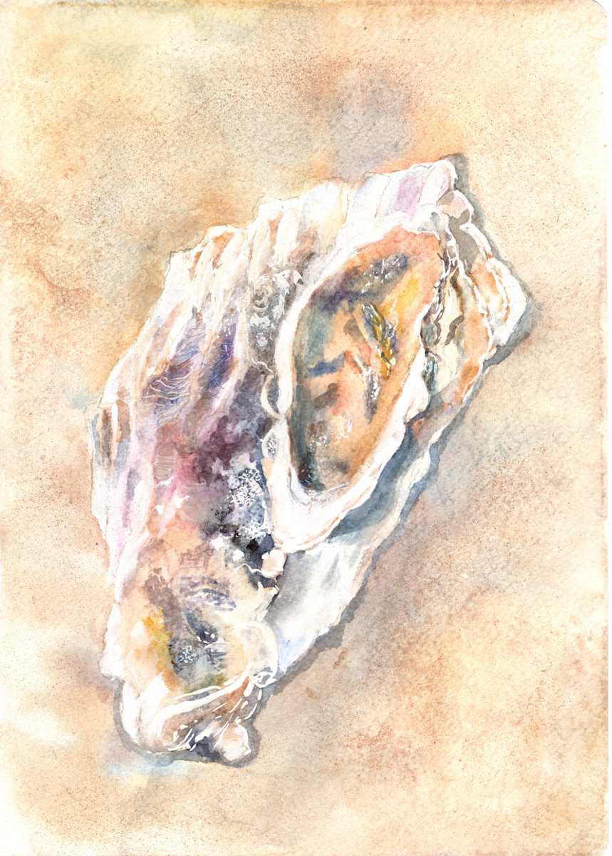 Conjoined Oysters- by Rebecca Zdybel, Image 1.