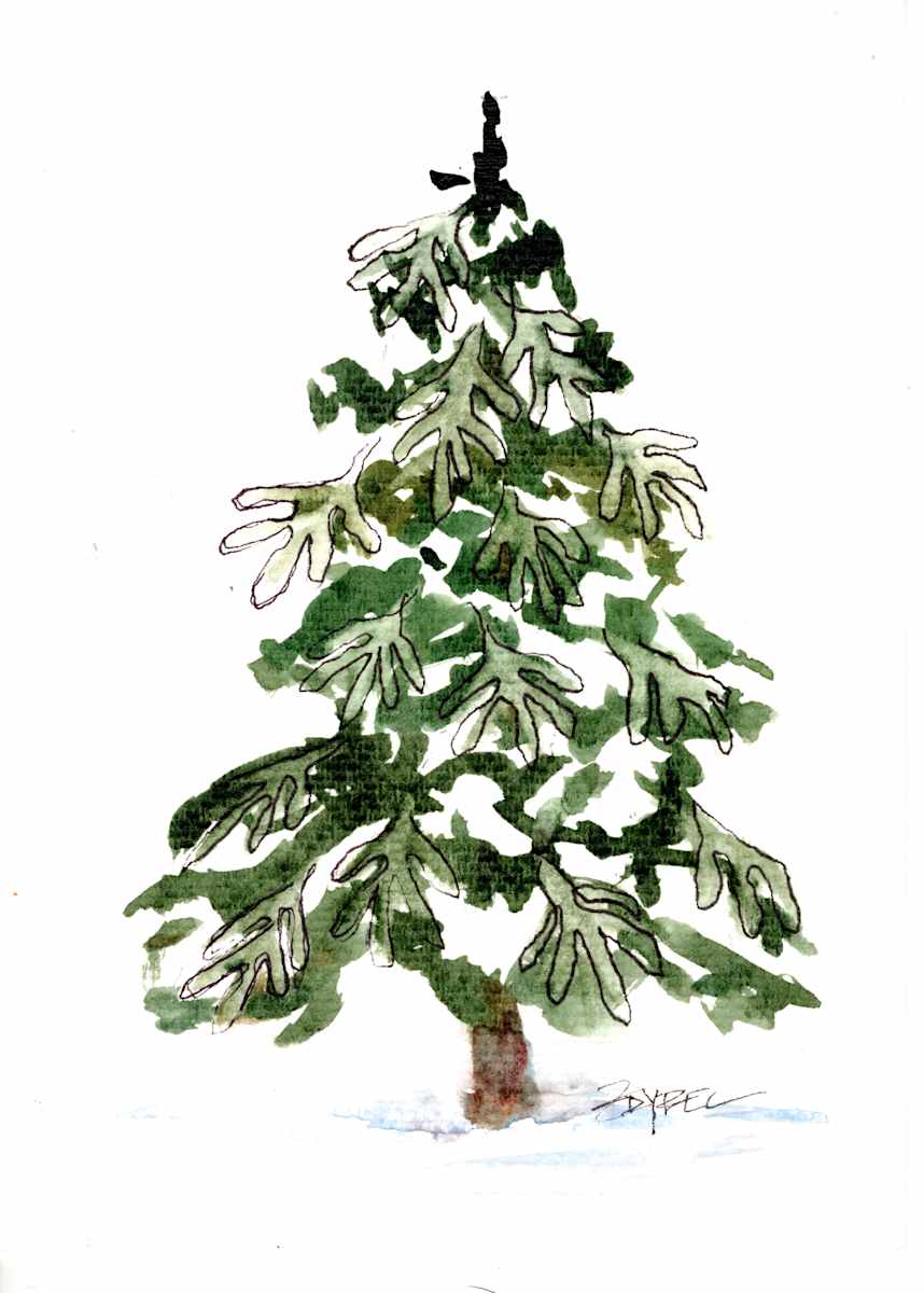 Fir tree 06 by Rebecca Zdybel, Image 1.