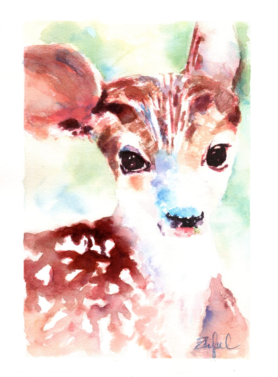 Friendly Fawn by Rebecca Zdybel 