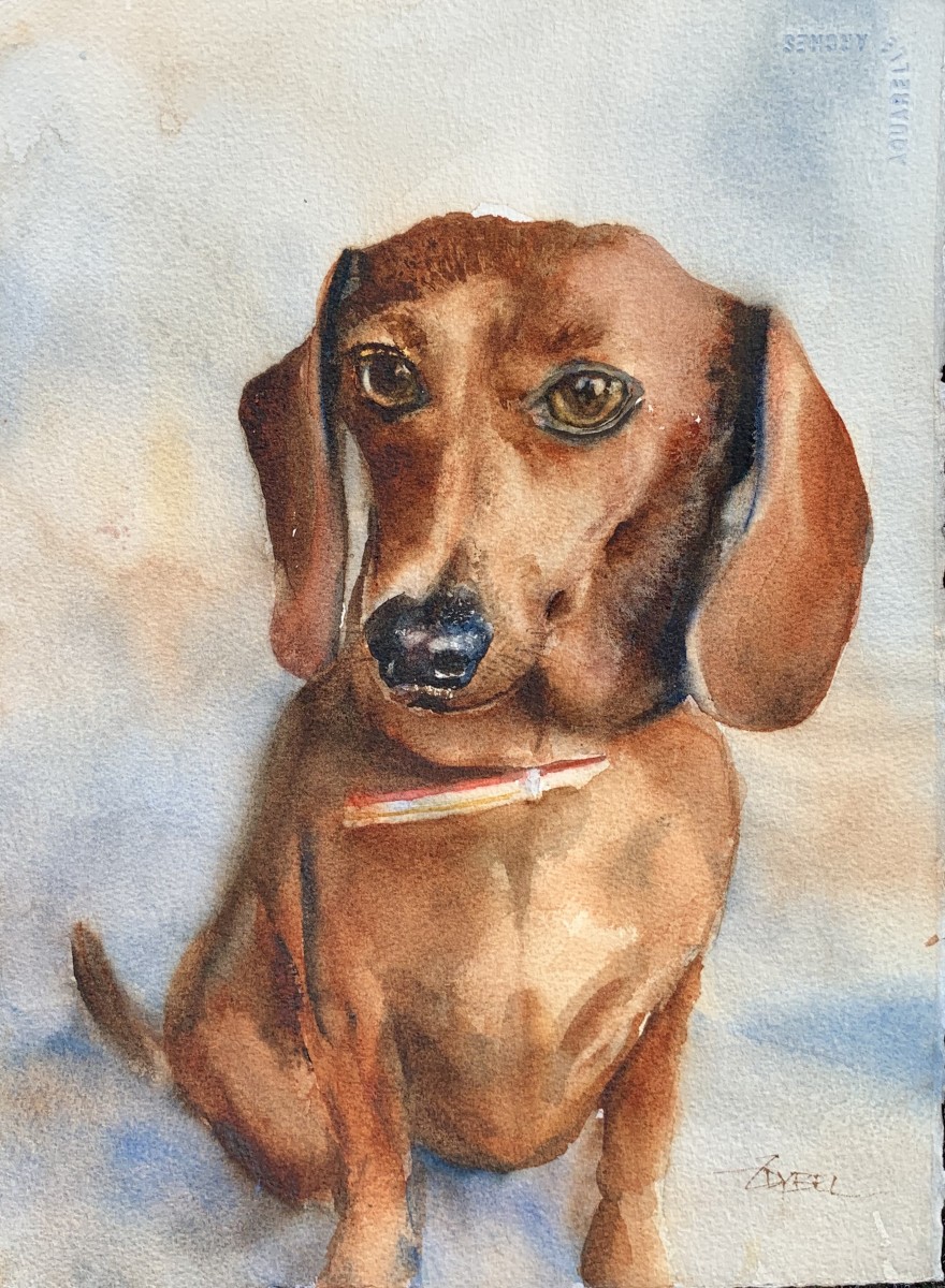 Dachshund portrait by Rebecca Zdybel 