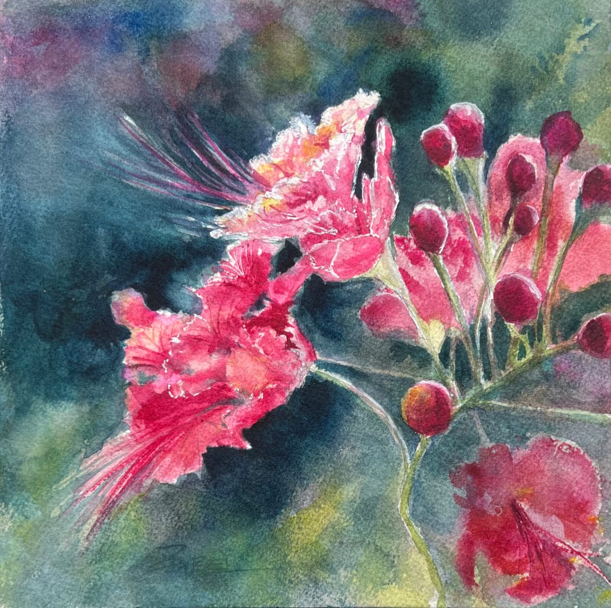 Costa Rican Color by Rebecca Zdybel, Image 1.