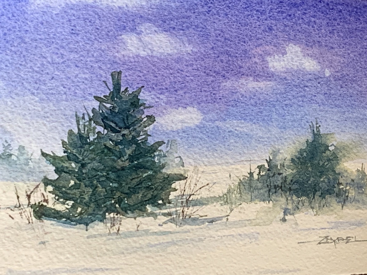 Evergreens in Snow by Rebecca Zdybel 