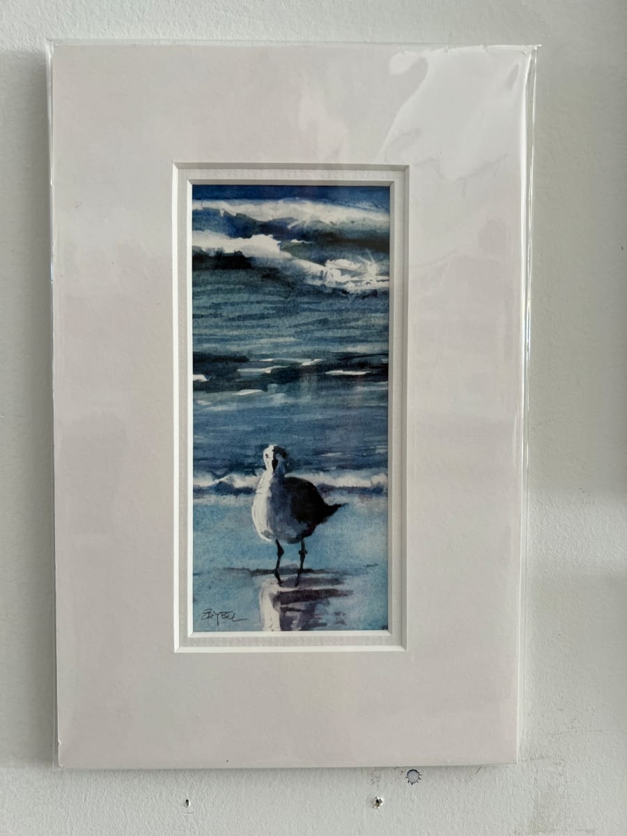 Solo Seagull Looking Forward- Matted by Rebecca Zdybel 