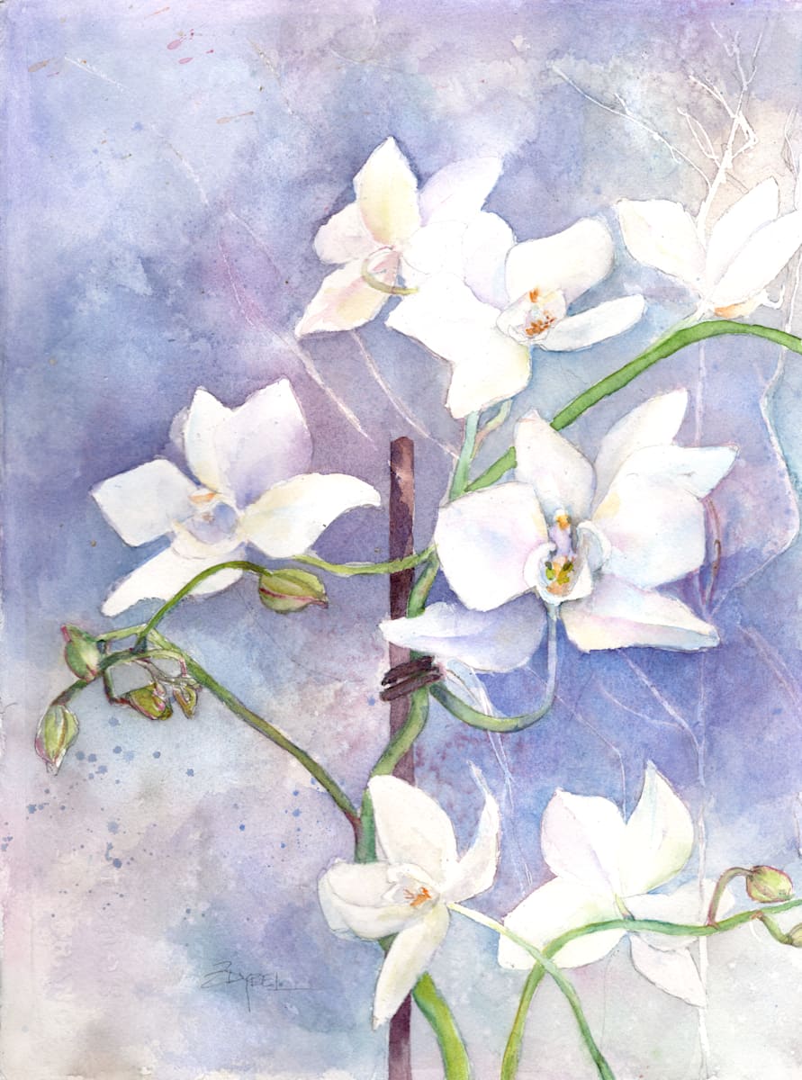 Lady Orchid 2024 by Rebecca Zdybel, Image 4.