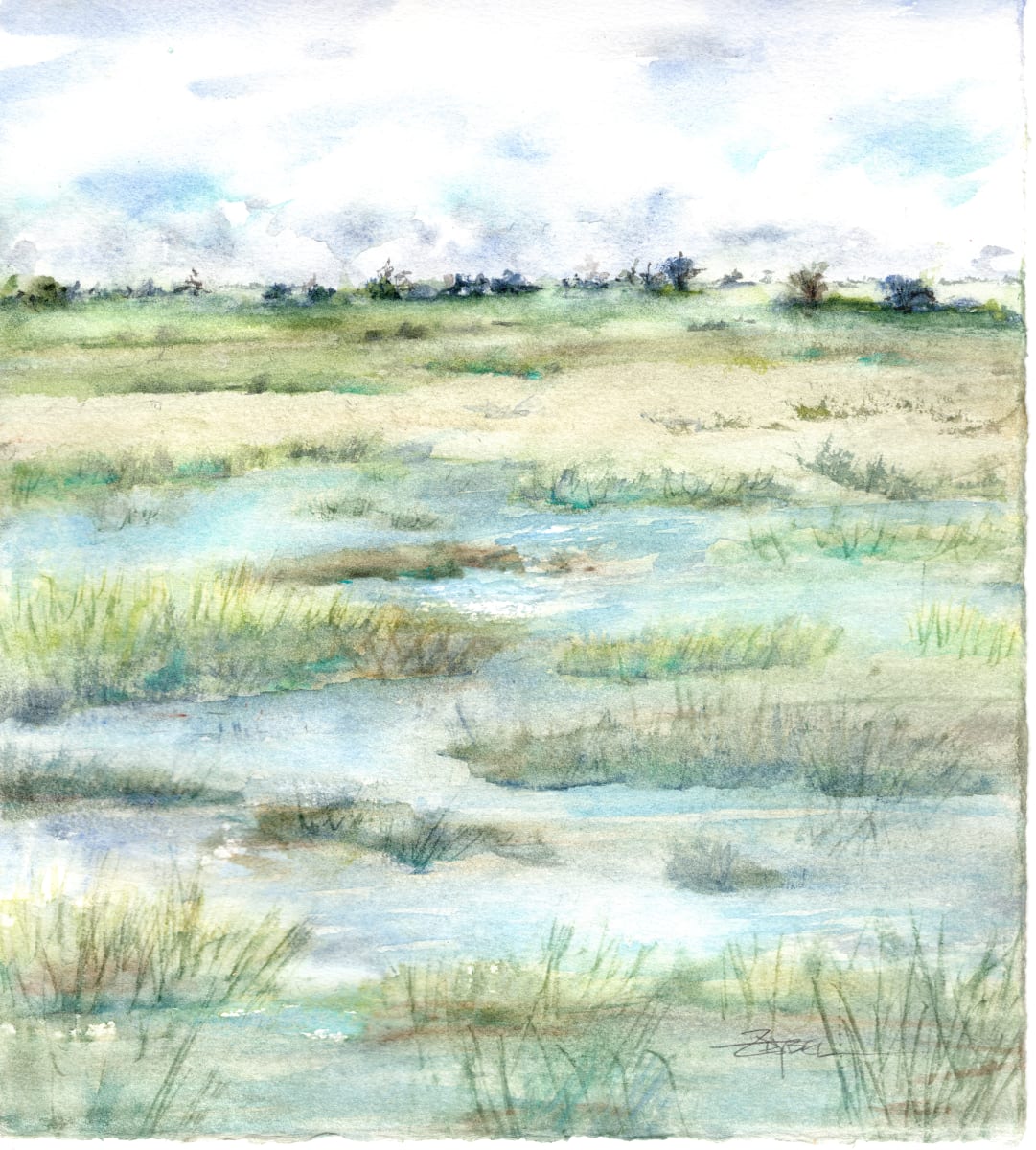 Mellow Marsh by Rebecca Zdybel 