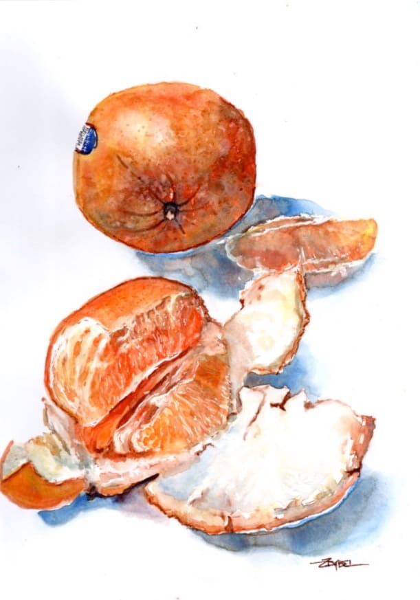 Orange A-Peel by Rebecca Zdybel 
