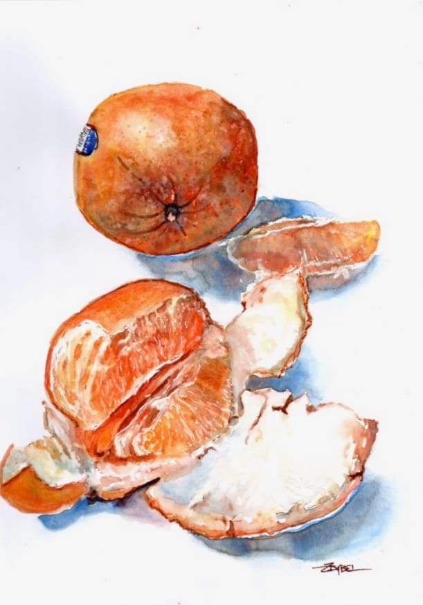 Orange A-peel Again by Rebecca Zdybel 