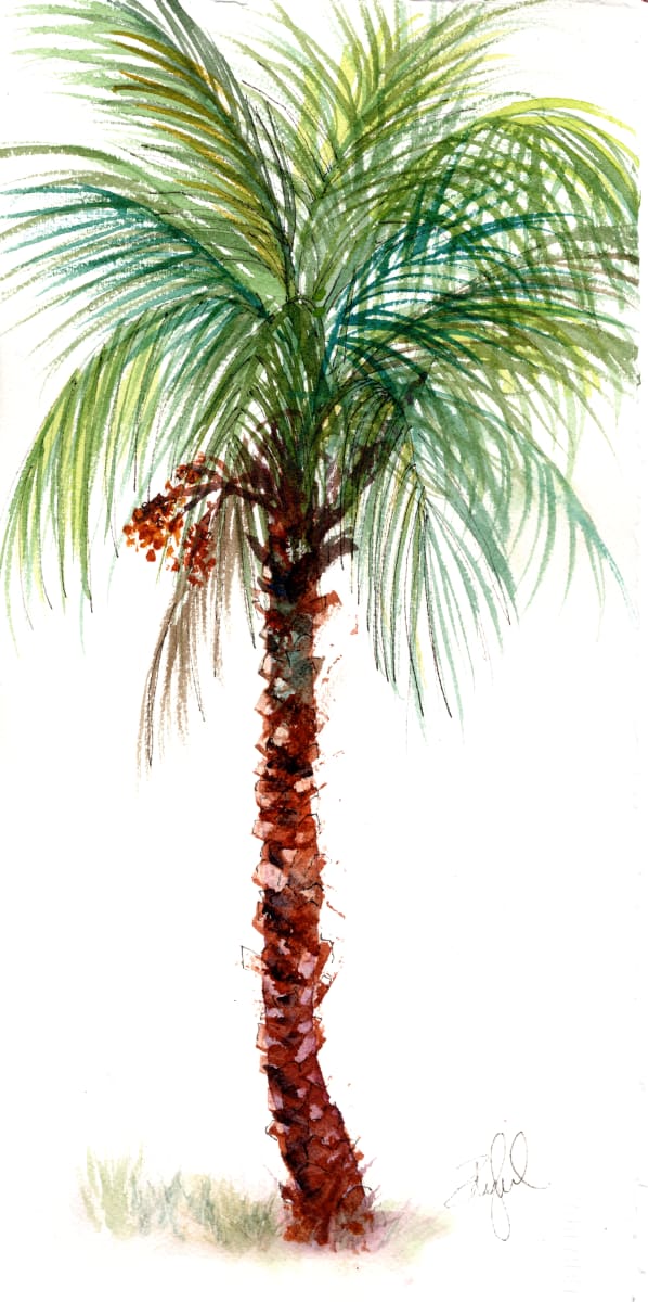 Pretty Little Date Palm 