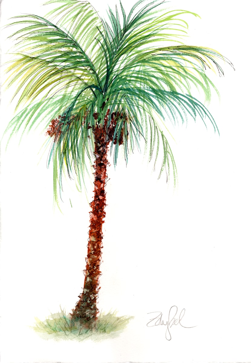 Pretty Little Palm with Coconuts & Dates 