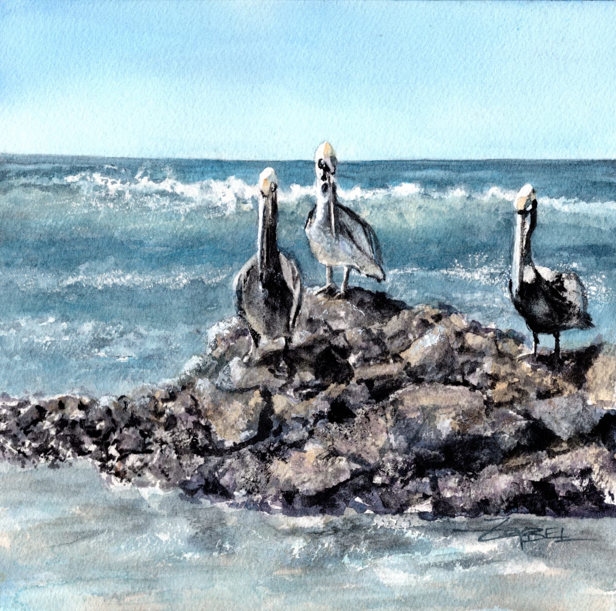 Pura Vida Pelicans by Rebecca Zdybel 