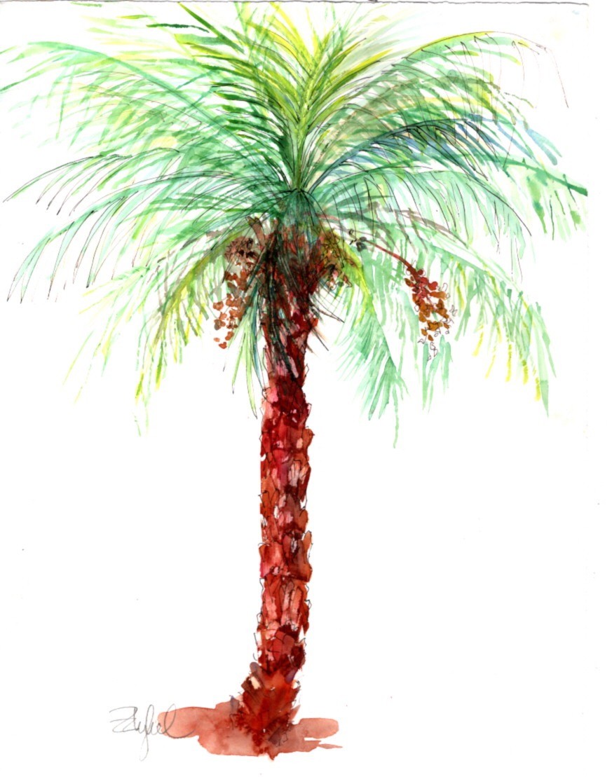 Pretty Little Palm by Rebecca Zdybel 