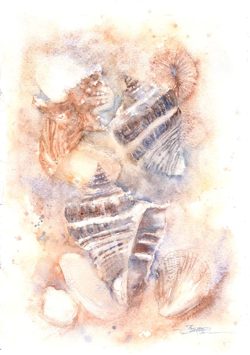Seashell Reverie by Rebecca Zdybel, Image 1.