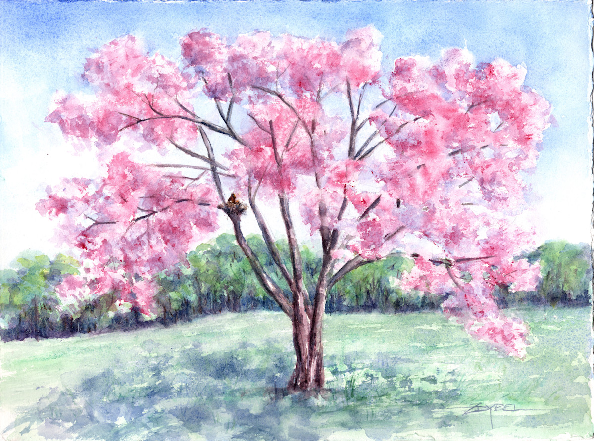 Shady Haven by Rebecca Zdybel, Image 1.