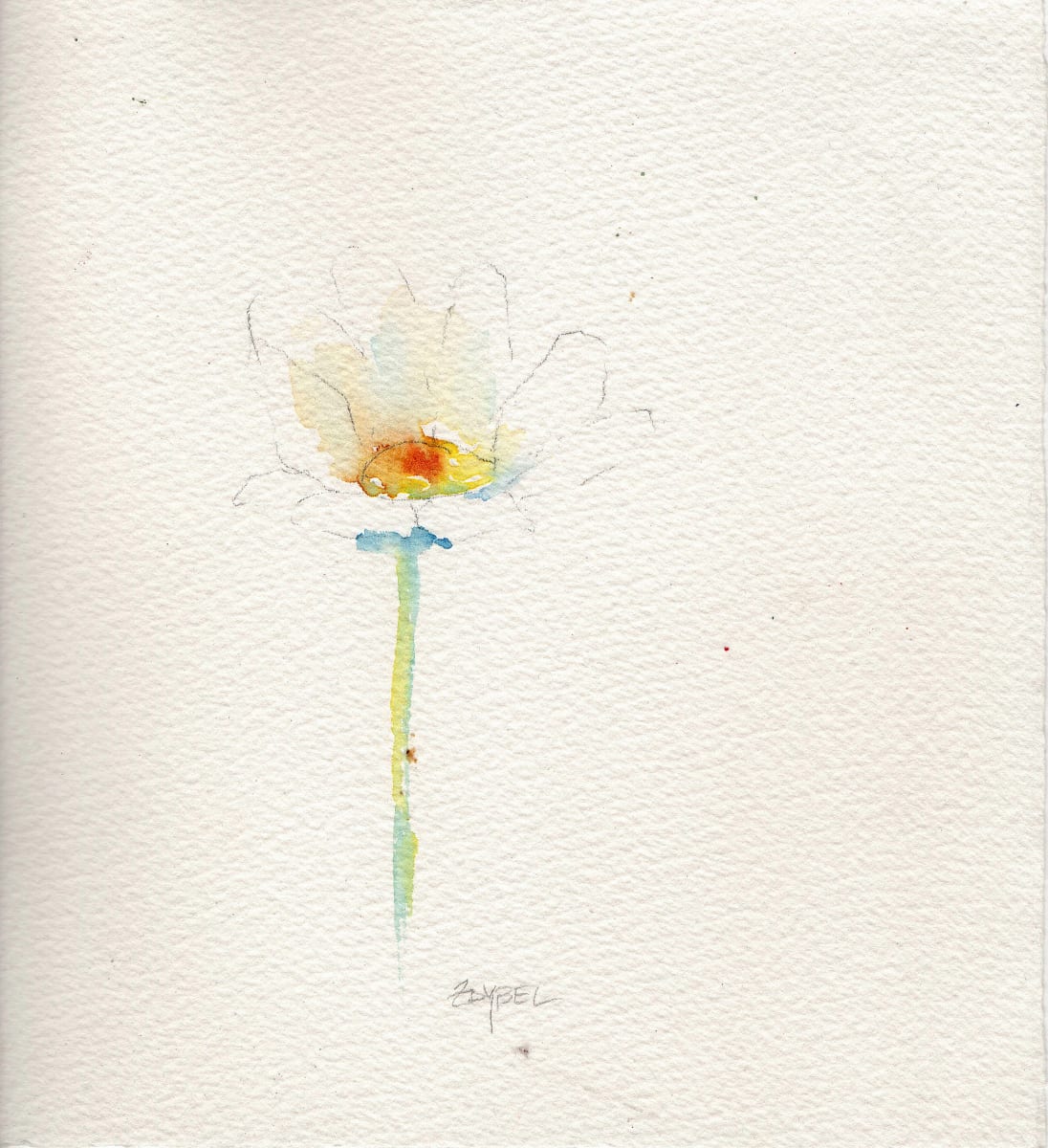 Simple Daisy by Rebecca Zdybel 