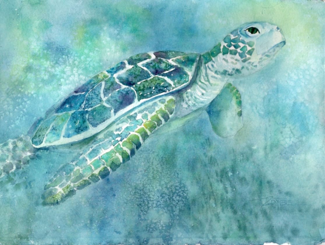 Turtle Daze 3 by Rebecca Zdybel 