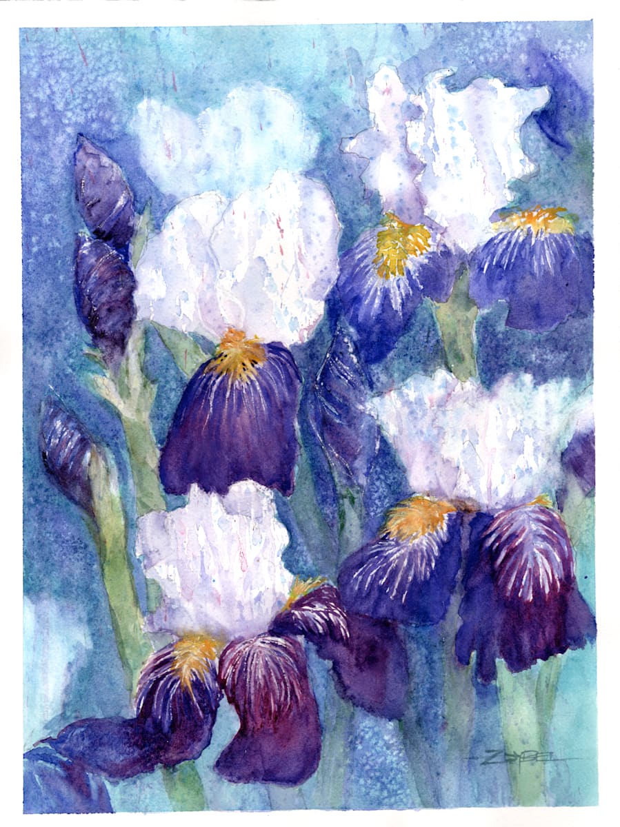 Wild Iris 2, Image 1.