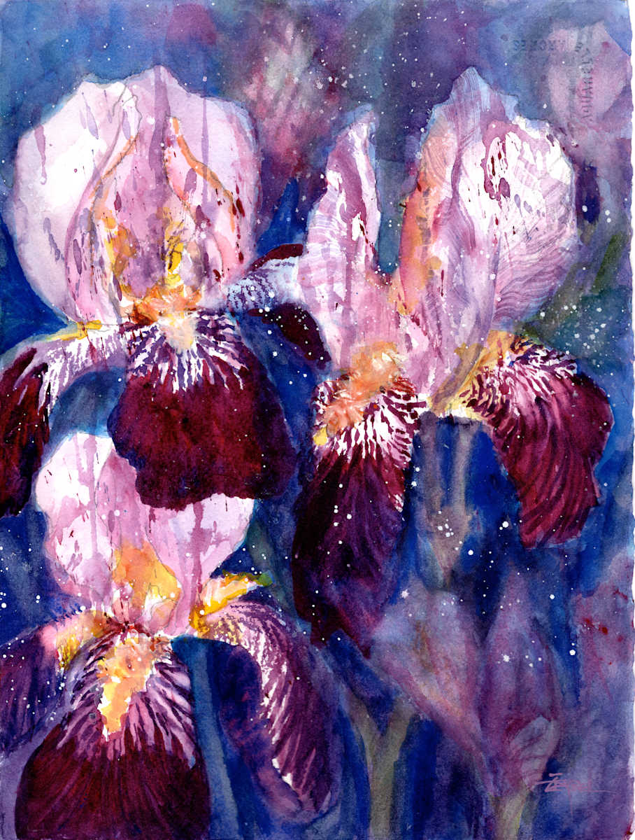 Wild Iris 3 by Rebecca Zdybel, Image 1.