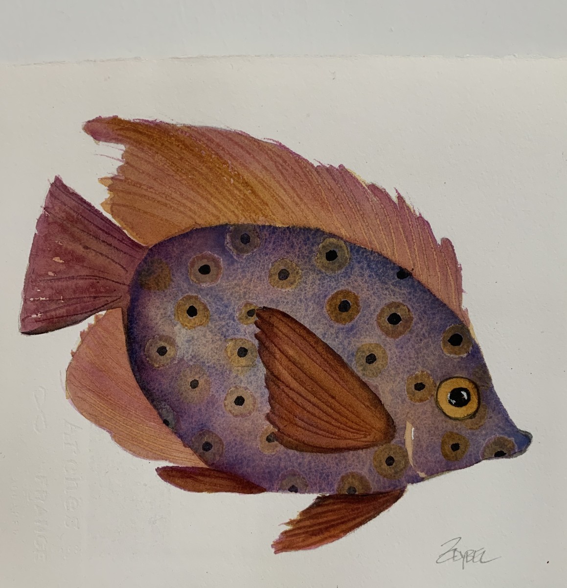 Spotted Swimmer in Purple and Orange by Rebecca Zdybel 