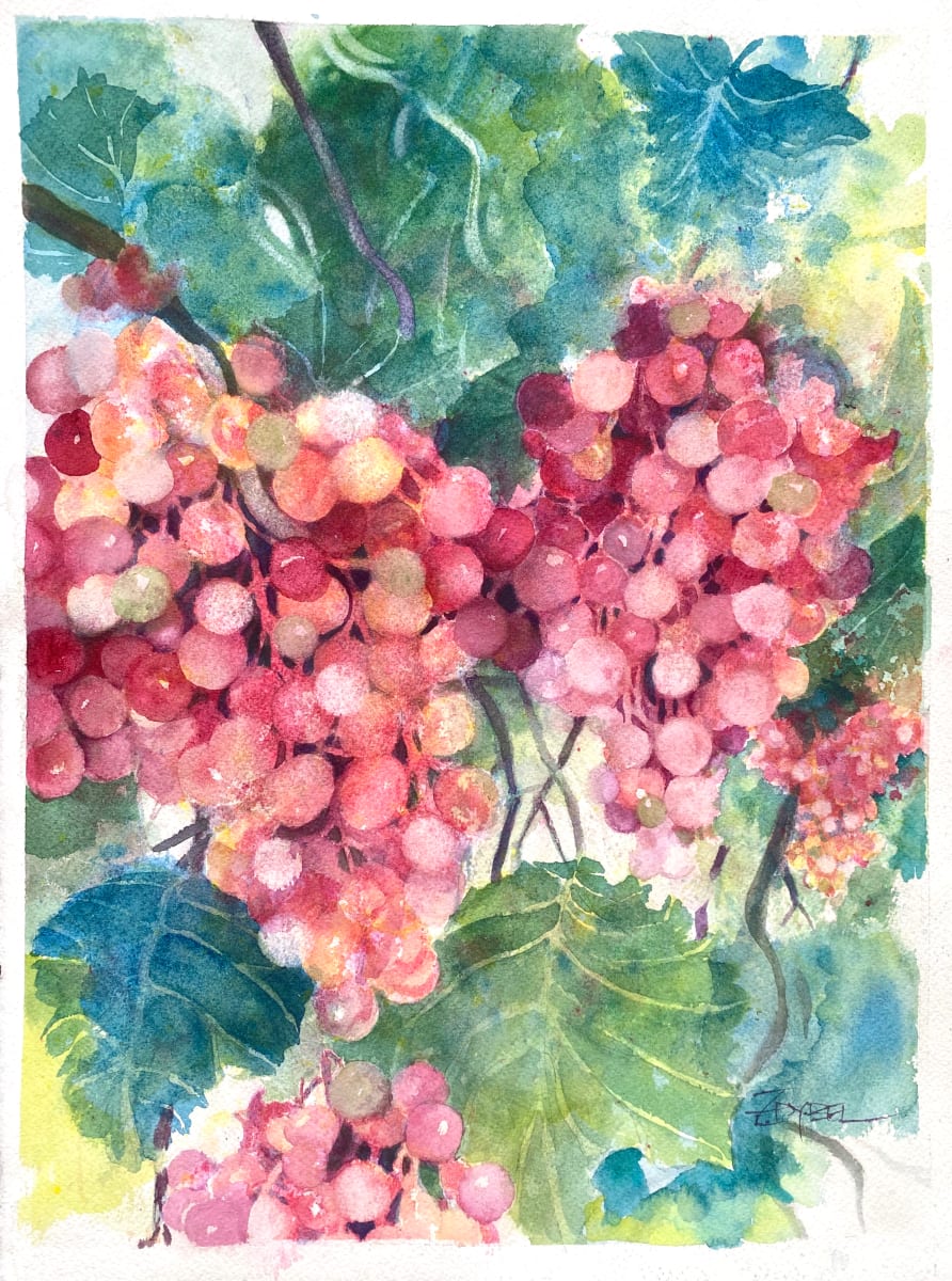 Vineyard Grapes by Rebecca Zdybel 