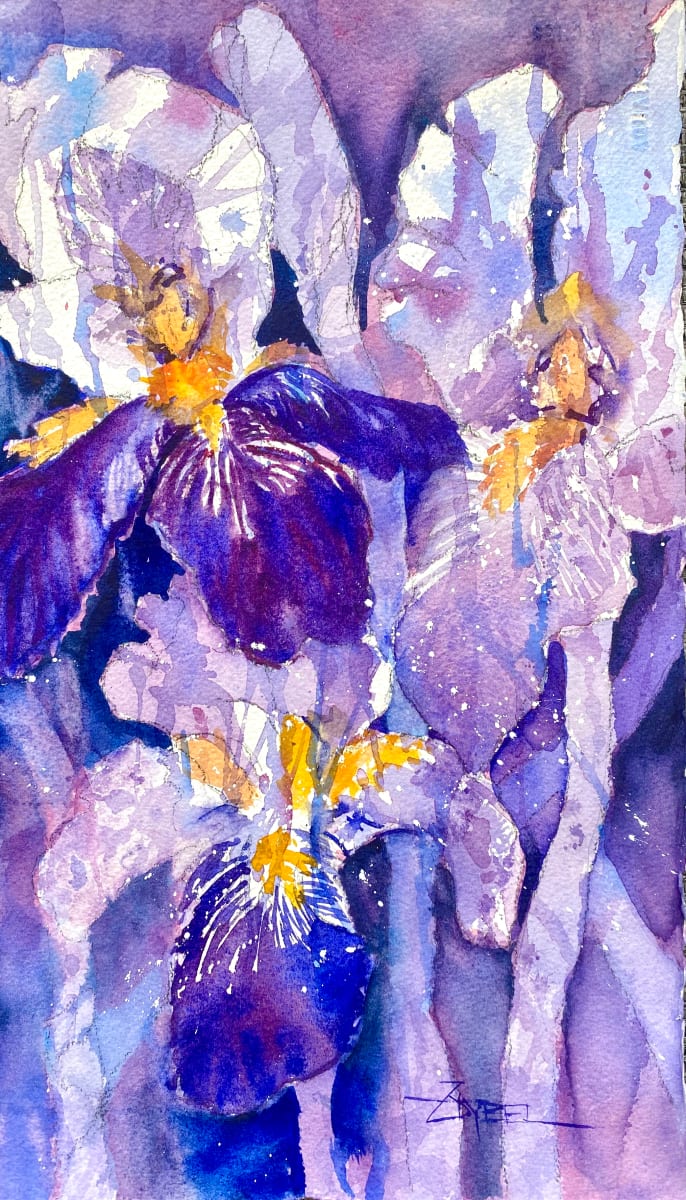 Imperial Iris 2, Image 5.