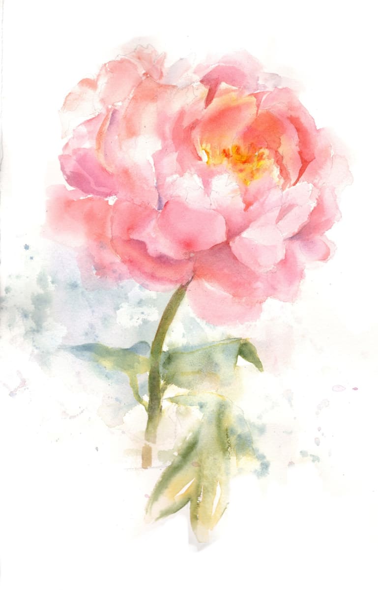 Peony study by Rebecca Zdybel 