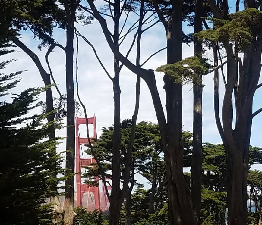 Peek a Boo Bridge by Irene Bee Kain 