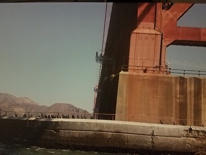 Golden Gate Foot by Irene Bee Kain 