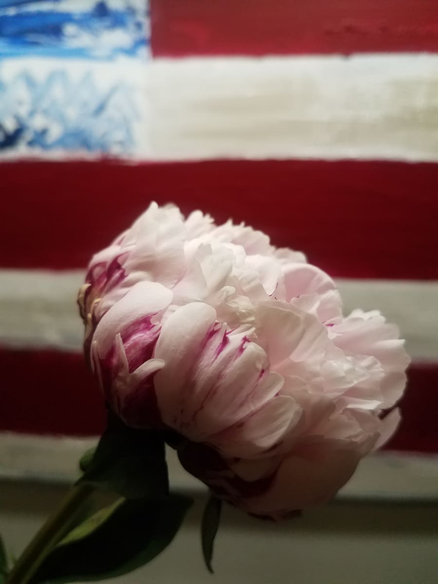 United Peony 