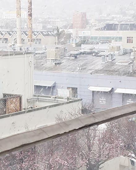 View from the Studio by Irene Bee Kain 