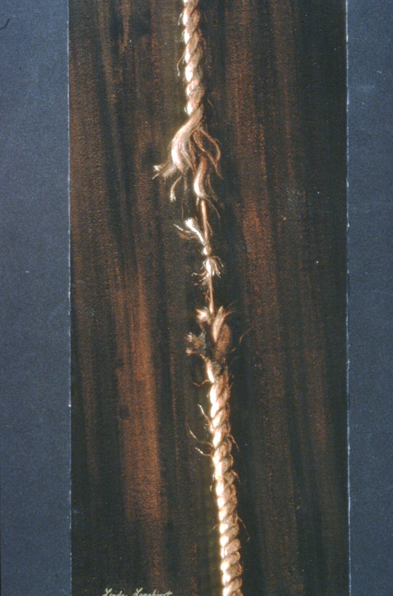 Hanging By a Thread by Linda Langhorst 