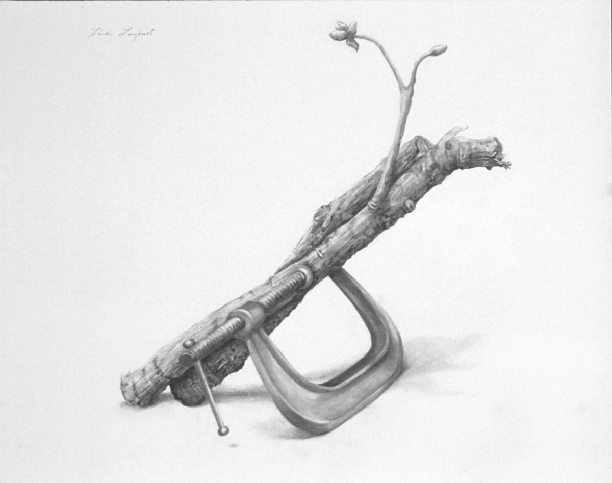 Squeezed by Linda Langhorst 