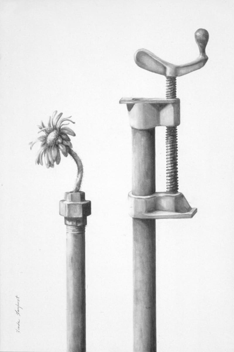 Still Life by Linda Langhorst 