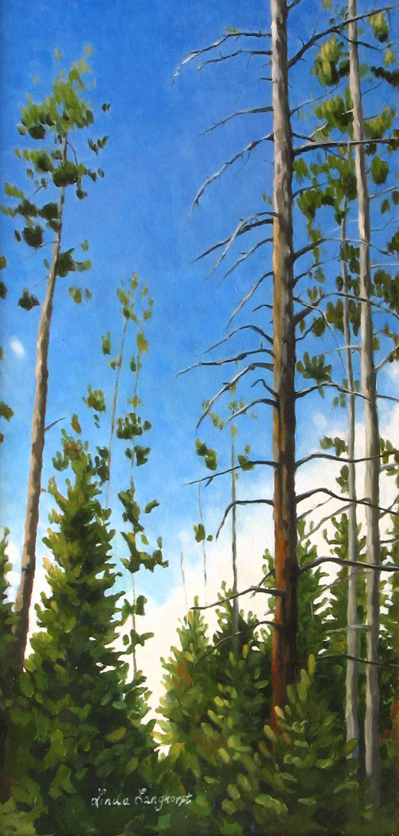 Lodge Pole Pines, Tetons by Linda Langhorst 