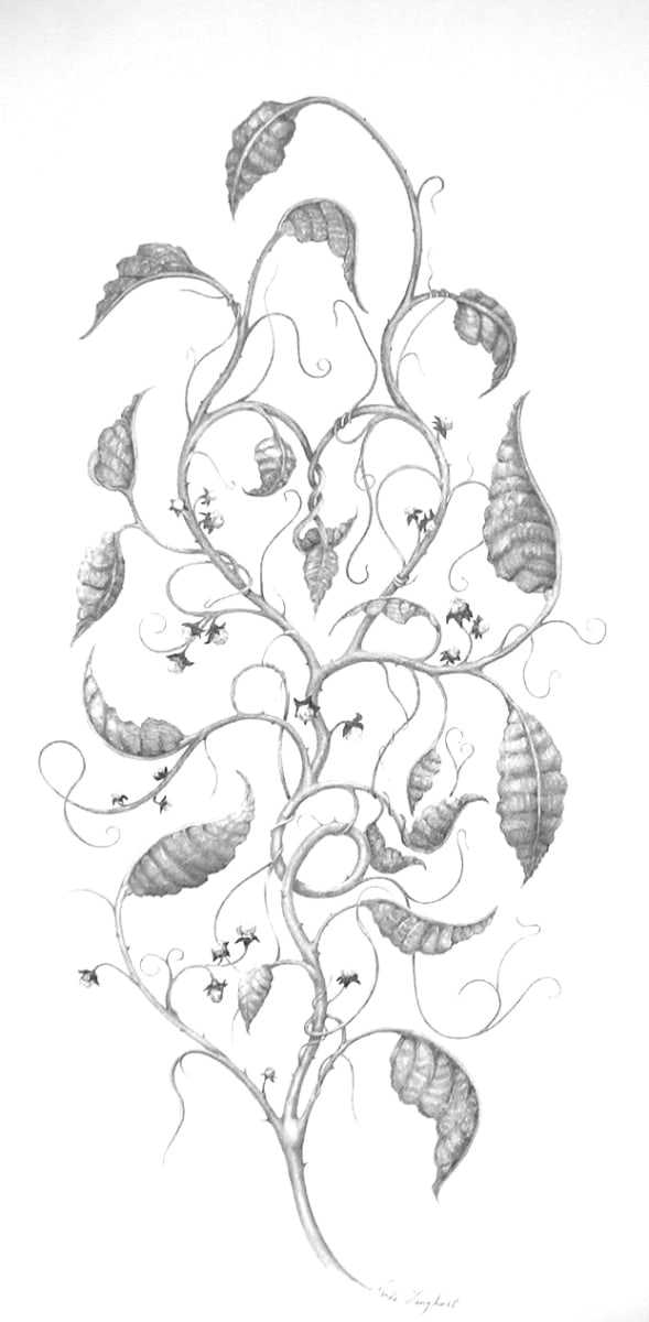 Romancing The Vine by Linda Langhorst 