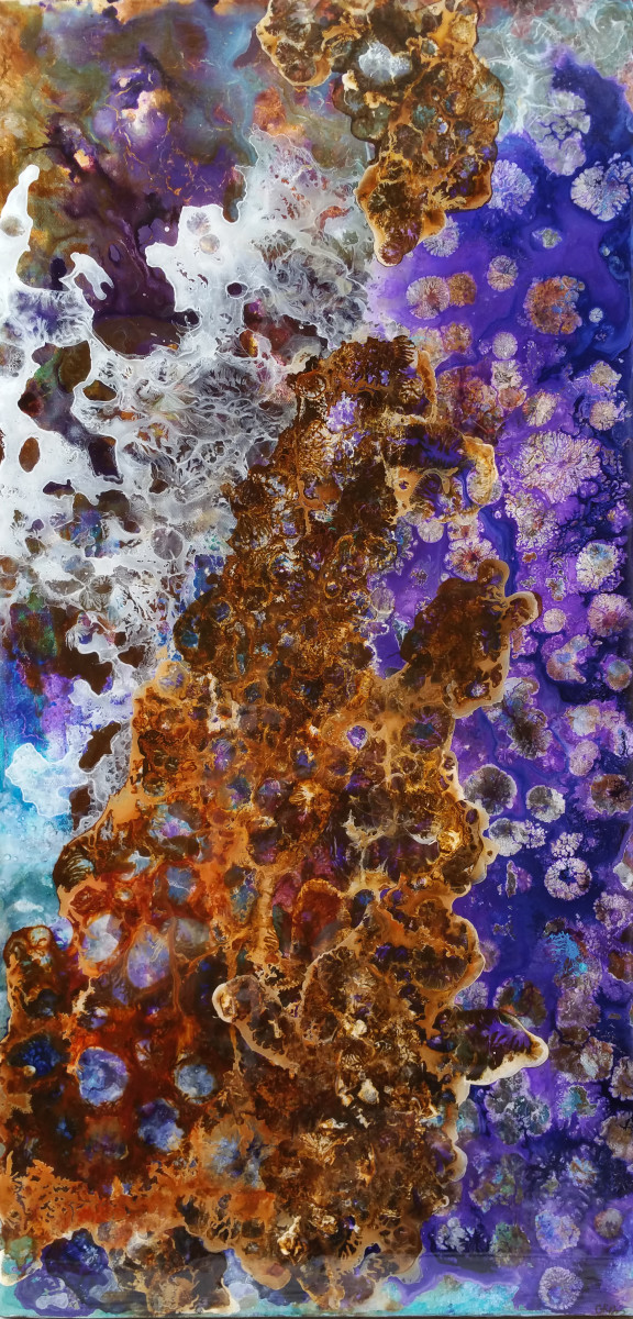 Entering Infinity by Christine Binns 