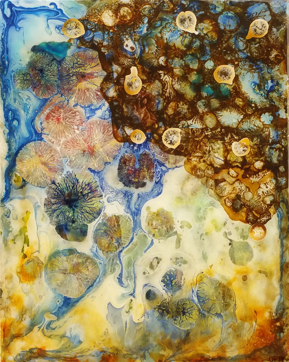 Everything Changes by Christine Binns 