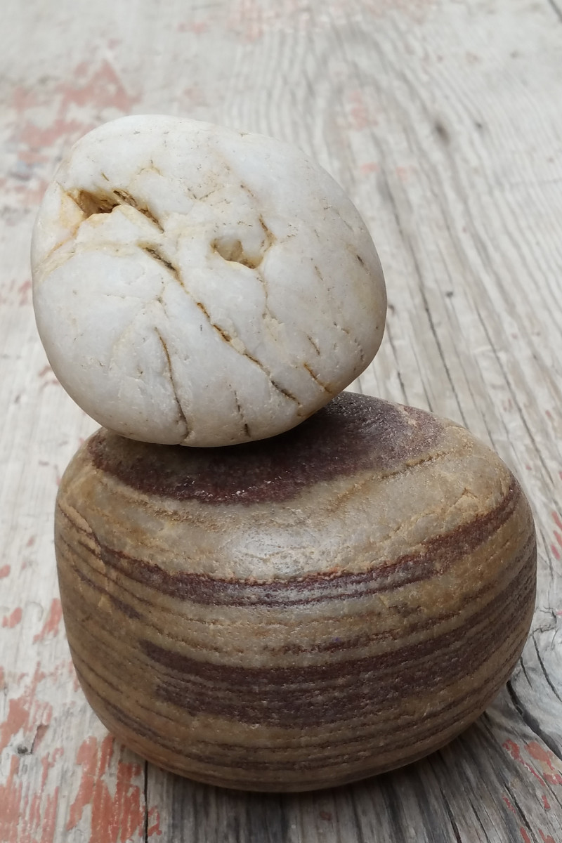 Rocky by Christine Binns 