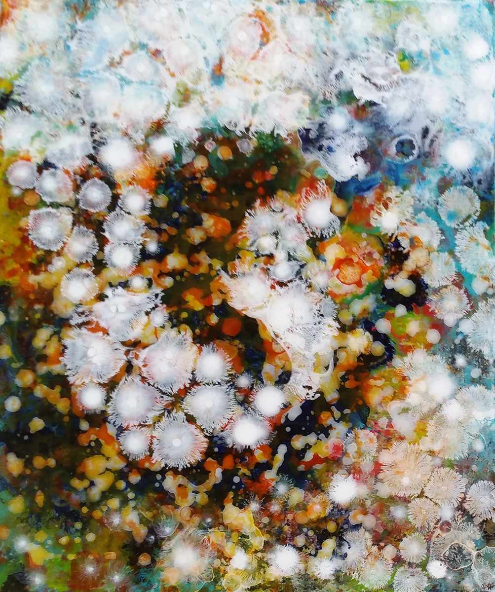 Where Wishes Go by Christine Binns, Image 1.