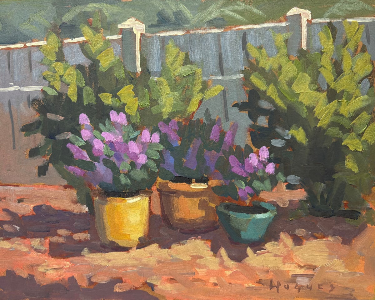 Mona Lavender Trio - Tampa by Linda Hugues 