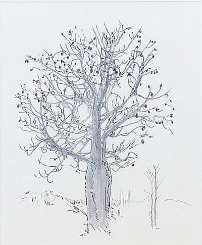 Making the Children Strong 