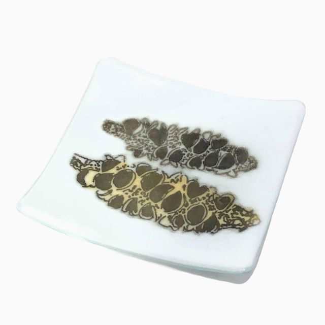 Banksia Plate ii (white), Image 3.