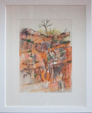 Boab at Bell Gorge, Image 1.