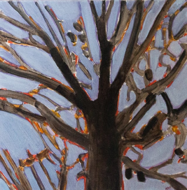 Boab Study by Nada Murphy, Image 1.