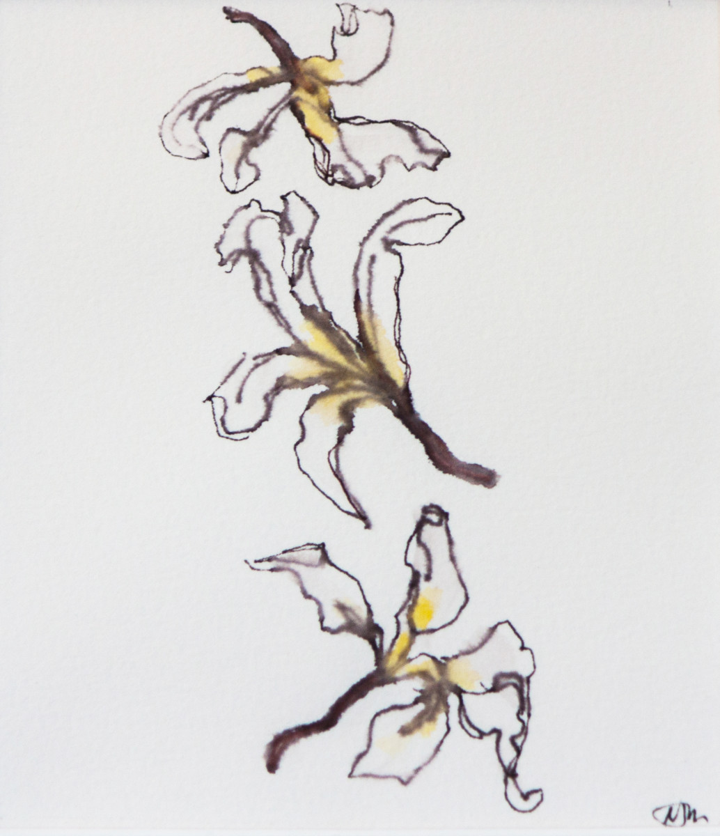 Frangipani Falling II by Nada Murphy 