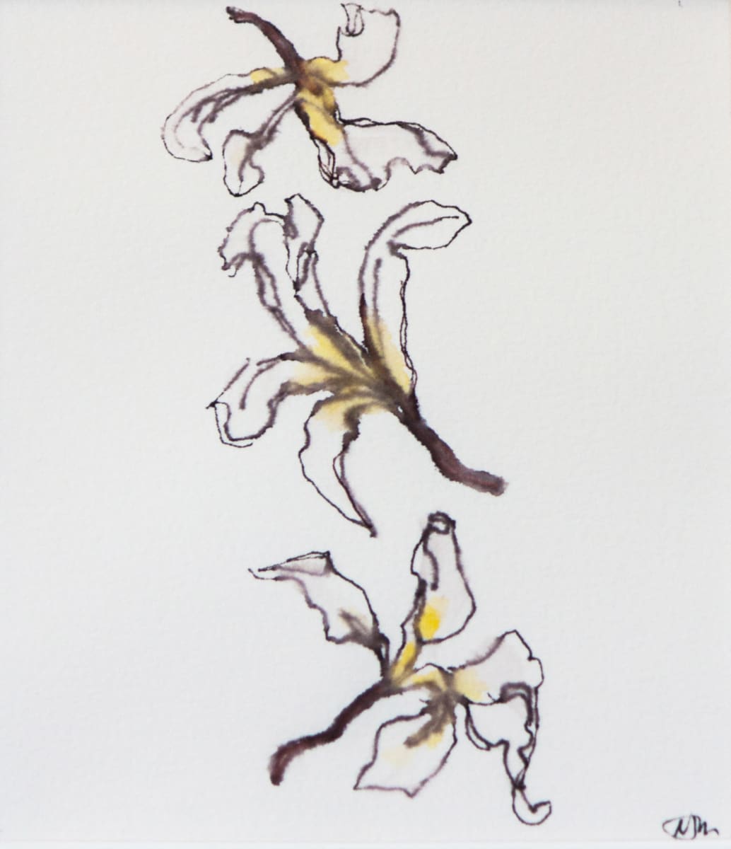 Frangipani Falling II by Nada Murphy, Image 1.