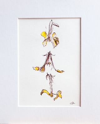 Native Frangipani Falling II by Nada Murphy, Image 1.
