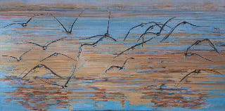 Wing Song, Image 1.