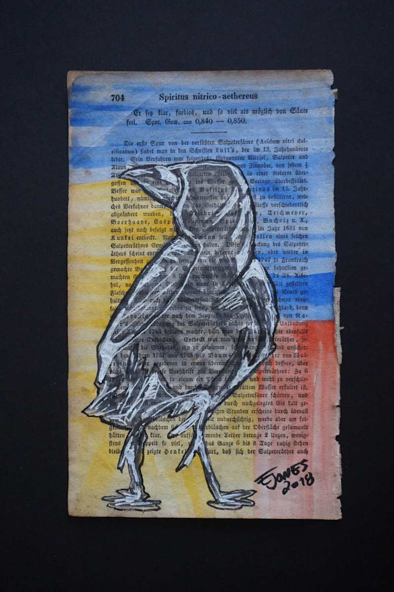 Crow by Eric Jones, Image 1.
