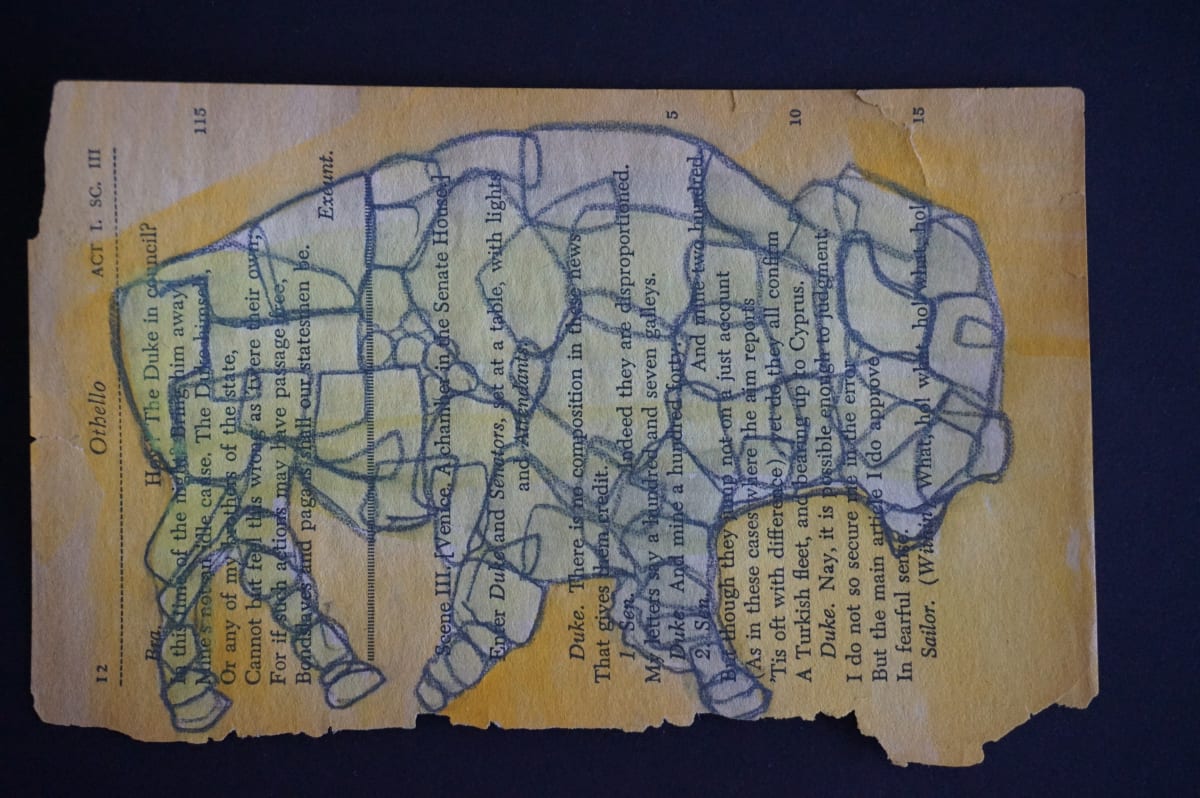 Bison Yellow by Eric Jones, Image 1.